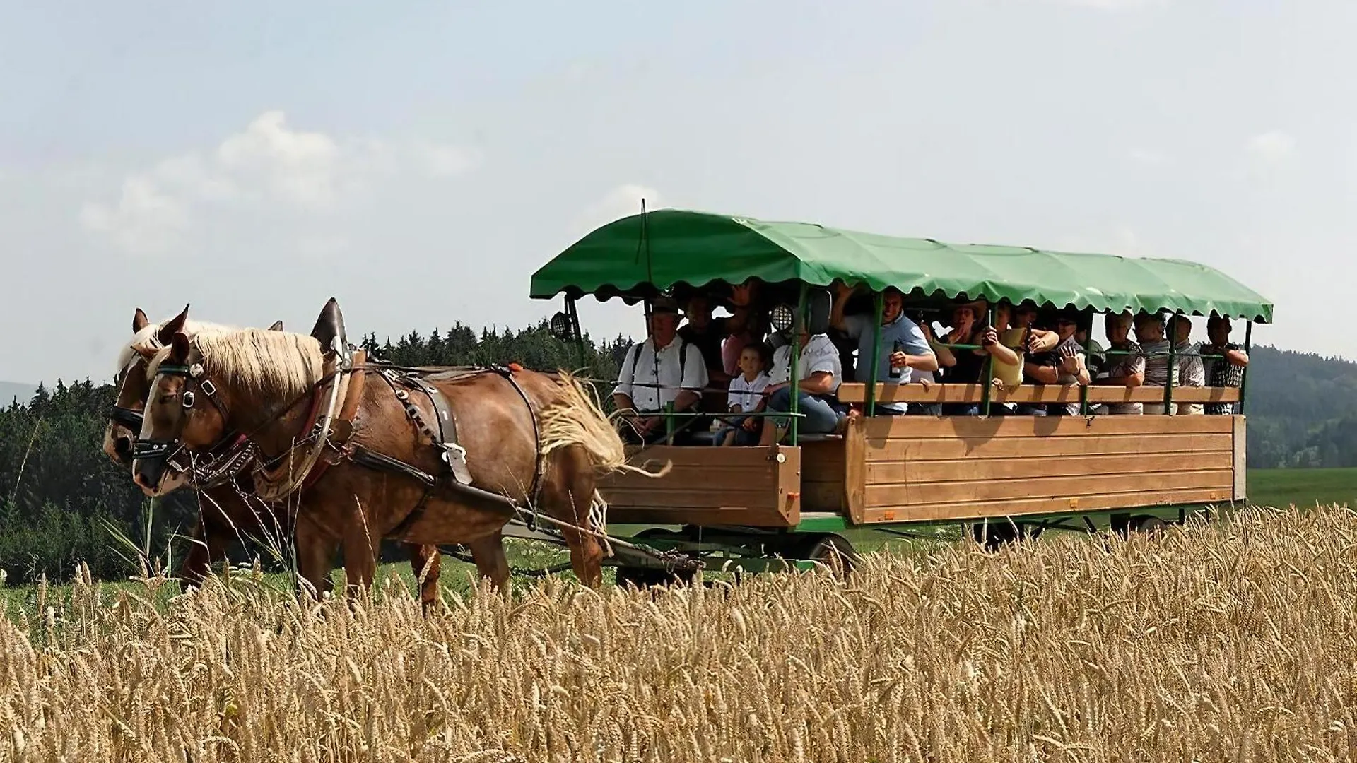 Ferienhaus In Roehrnbach Mit Grill Und Terrasse